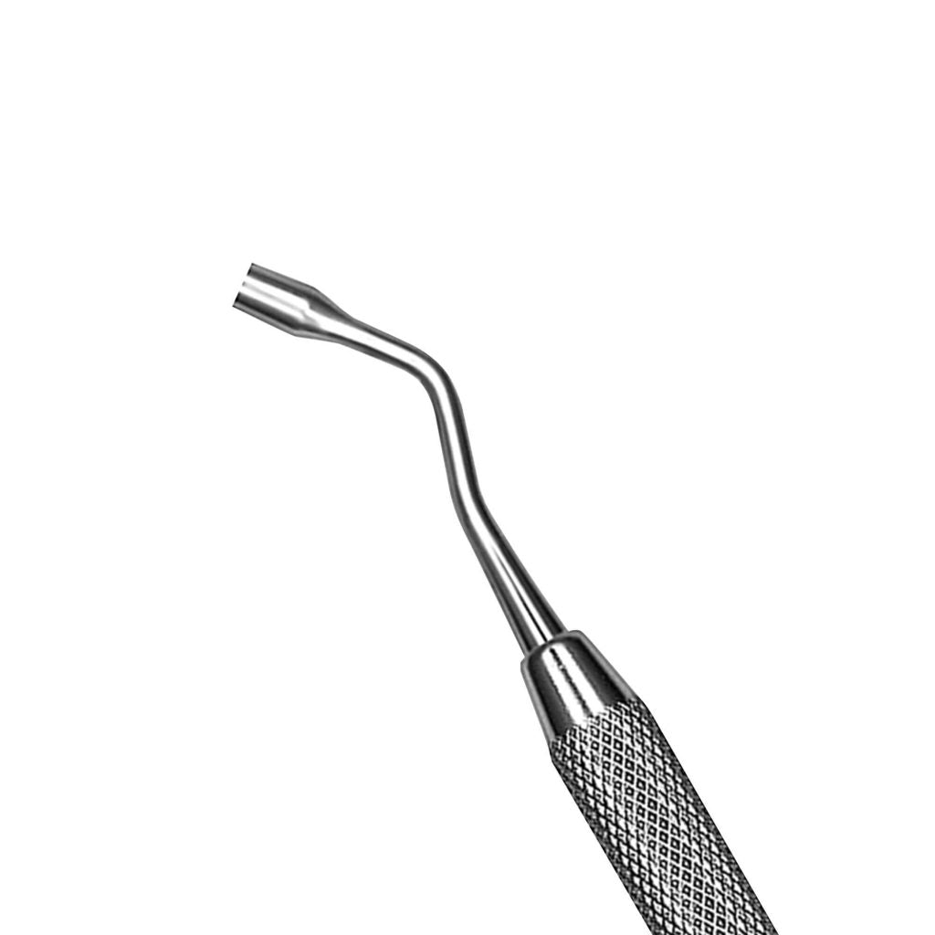 HF PLGH2 #2 Hol Plu D/E #238392