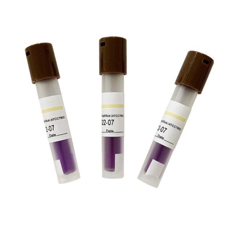 D2D Biological Indicator for Steam Sterilization – 24 Hour | 50 Units (D2D-BI24)