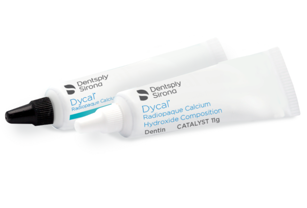 DYCAL Dentin STD. Pkg 13g B.+11g C. #623451Y (DENTSPLY)