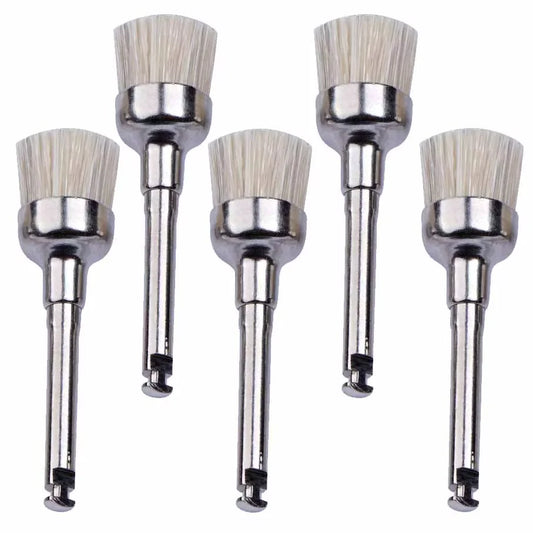 Densco (Tel.) Nylon Prophy Brushes – Tapered, Screw Shank (36/Pk) #085177-036